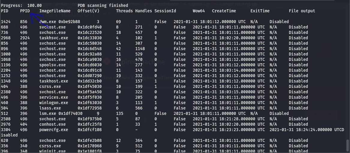 Network Tab