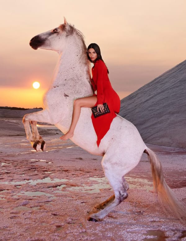 KENDALL JENNER x STELLA MCCARTNETY