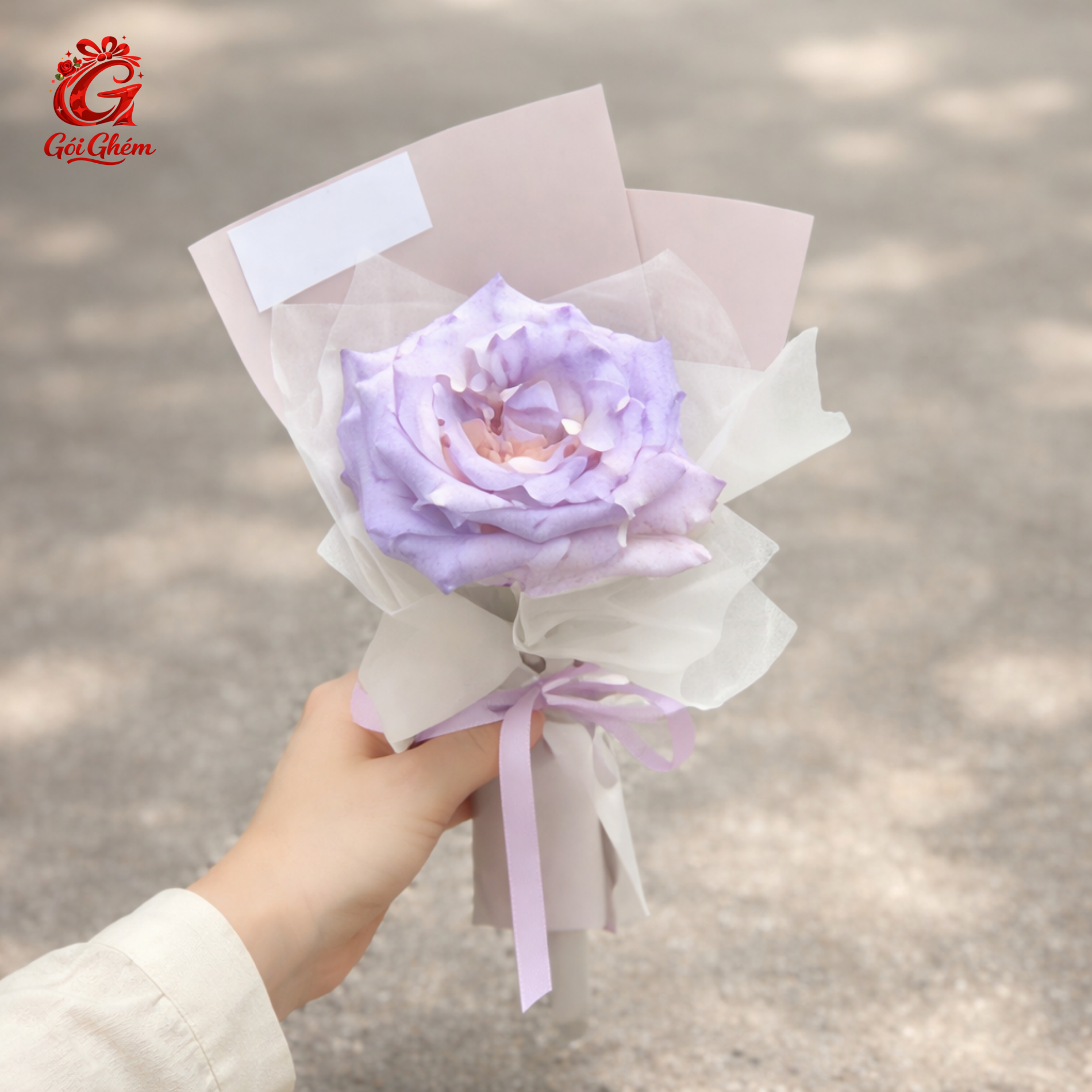 MỘC SẮC 2