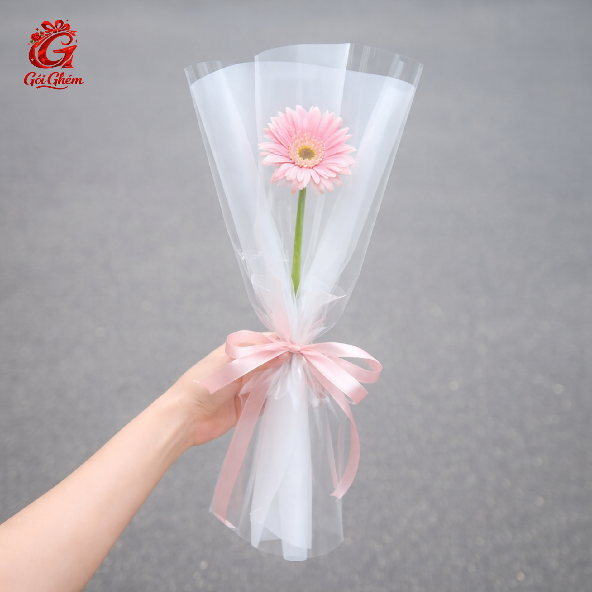MỘC SẮC 5