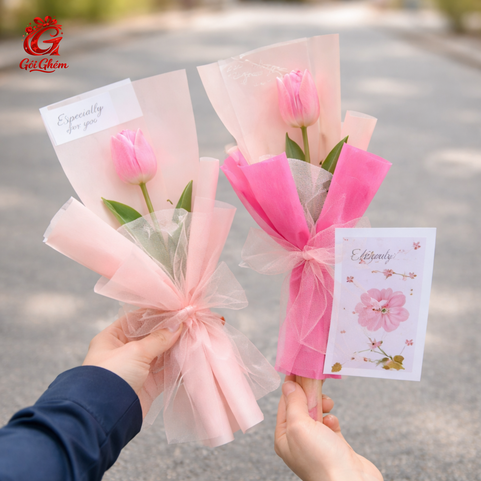 MỘC SẮC 4