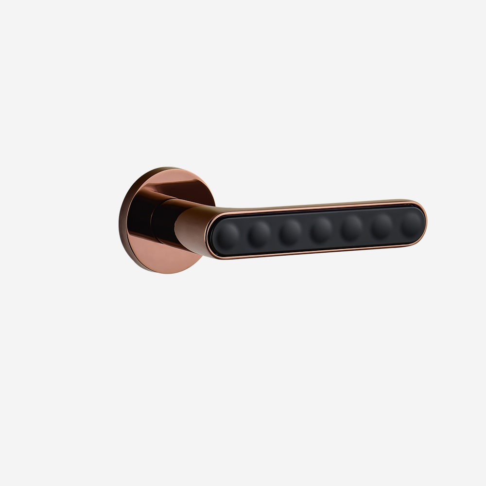 Dorset Door handle Hamilton gold + Graphite Matt