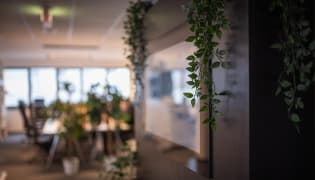 all about apps GmbH - Arbeitsplatz