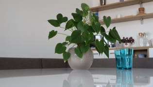 s-team IT solutions - Arbeitsplatz