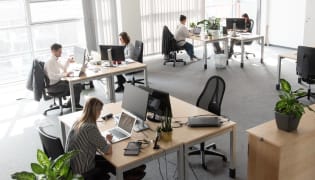 mogree - Arbeitsplatz
