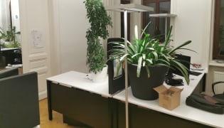 abss interactive GmbH - Arbeitsplatz