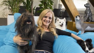 Tractive GmbH - Teamkultur