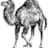 Perl