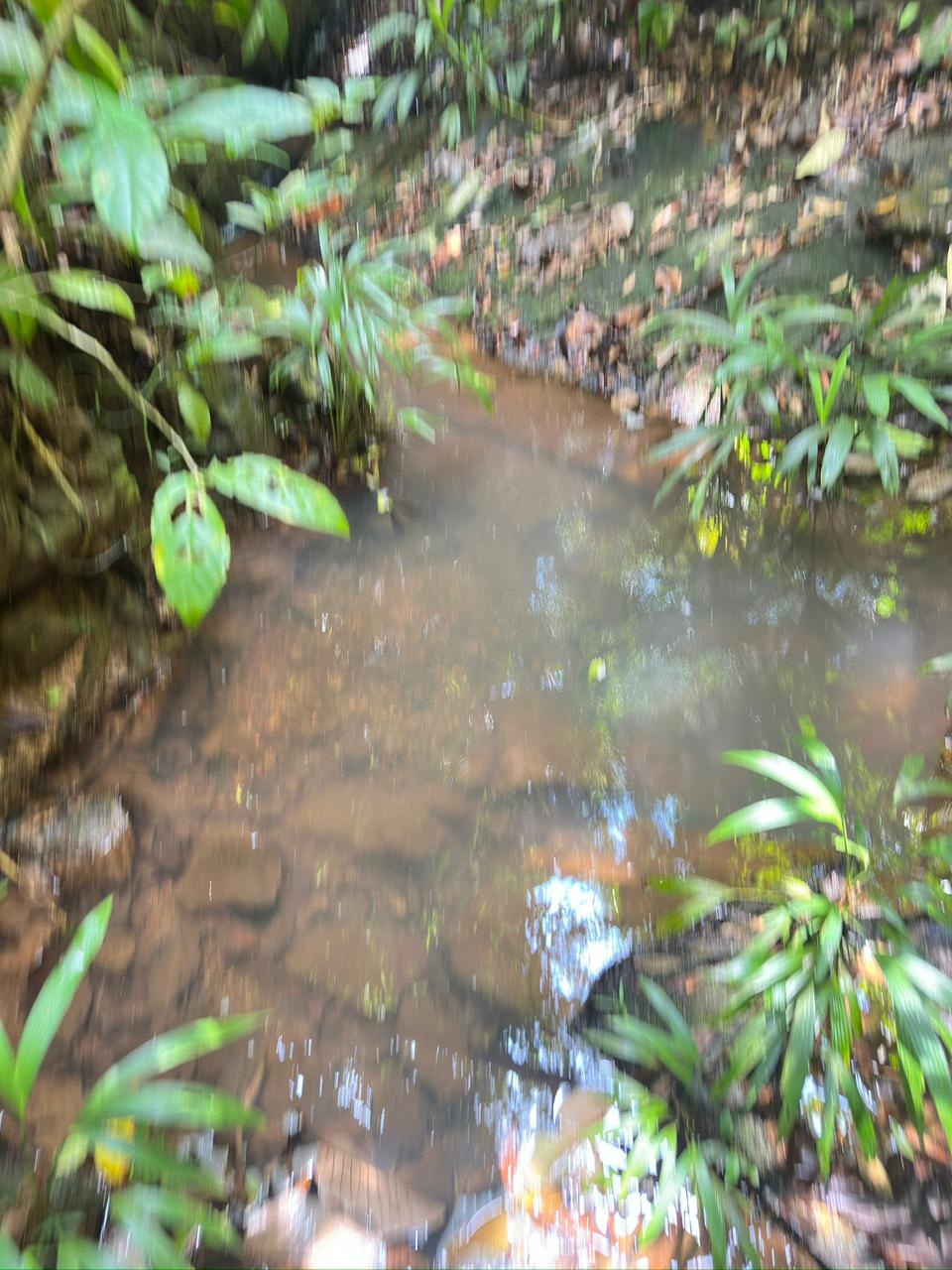 Se vende finca en Cartí 2
