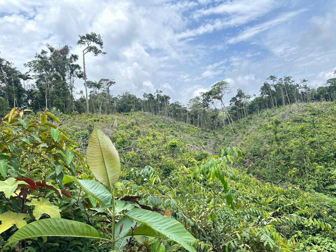 Se vende finca en Cartí 3