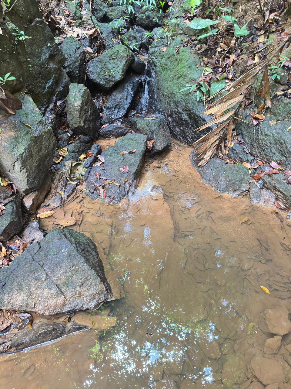 Se vende finca en Cartí 4