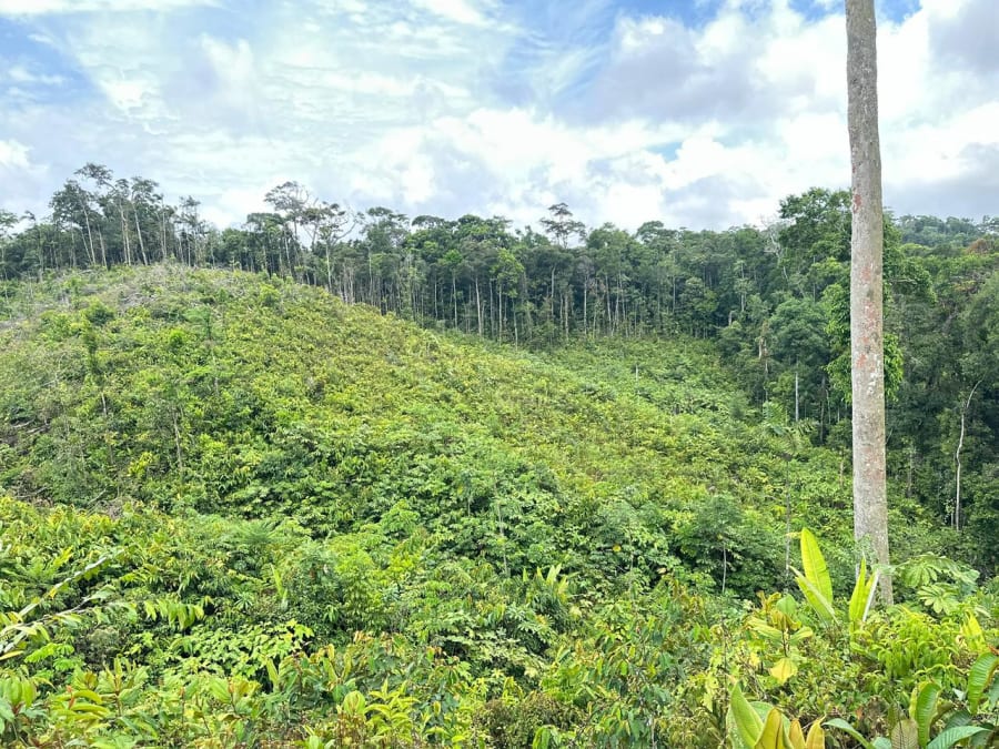 Terrenos