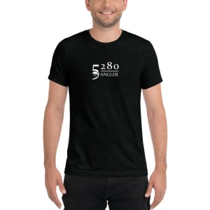 unisex-tri-blend-t-shirt-solid-black-triblend-front-6557c93b673cd.jpg