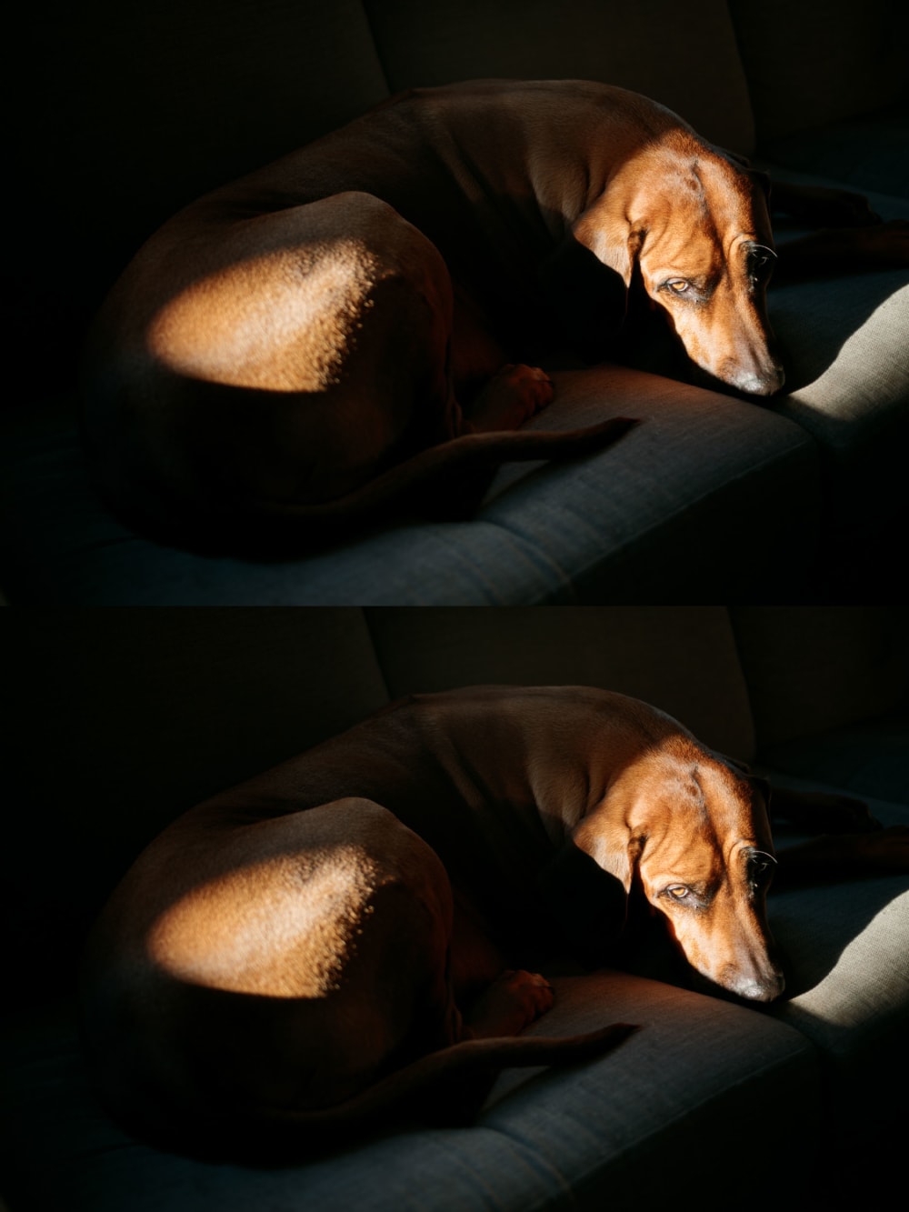 Joakim Hertze &mdash; Poserframes recreates the look of film scanned with borders &mdash; Get Halation, image 3