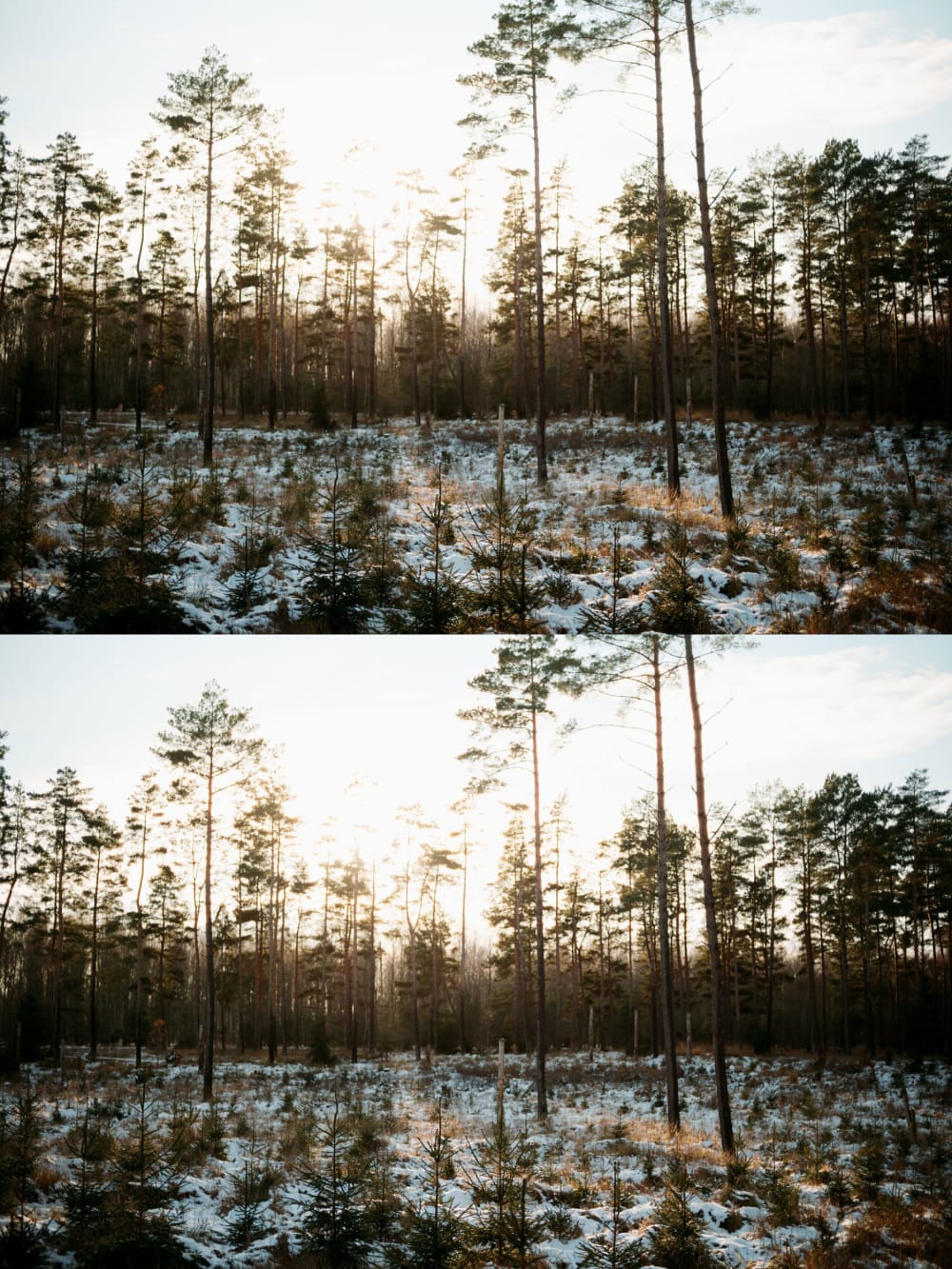 Joakim Hertze &mdash; Poserframes recreates the look of film scanned with borders &mdash; Get Halation, image 4