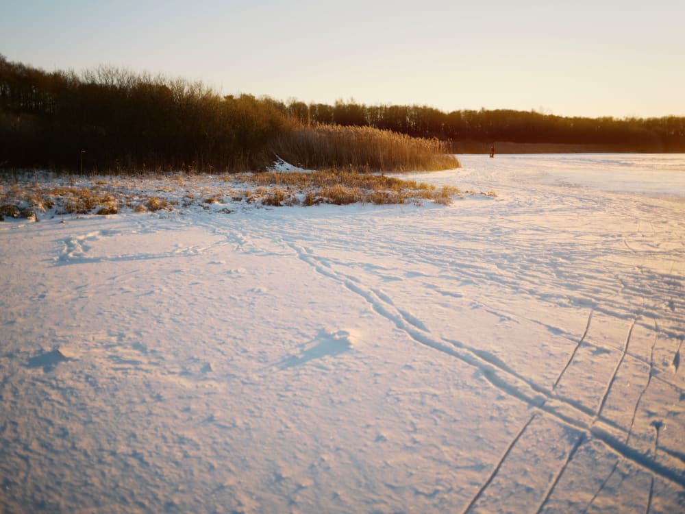 Joakim Hertze &mdash; Poserframes recreates the look of overscanned film for your digital photos &mdash; Get Halcyon Days, image 1