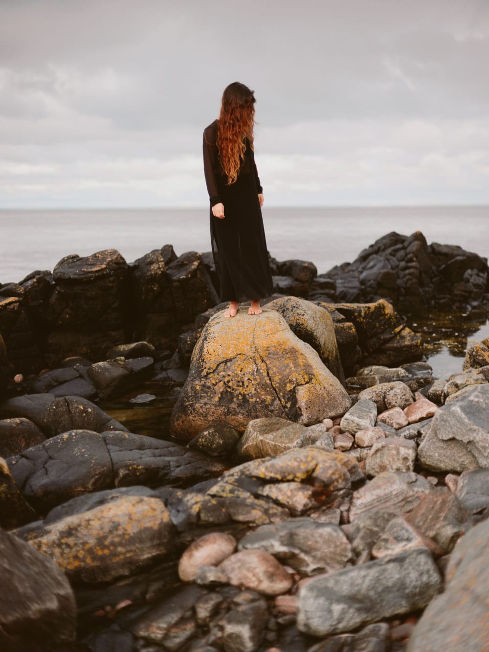 overview/wallflower-ex