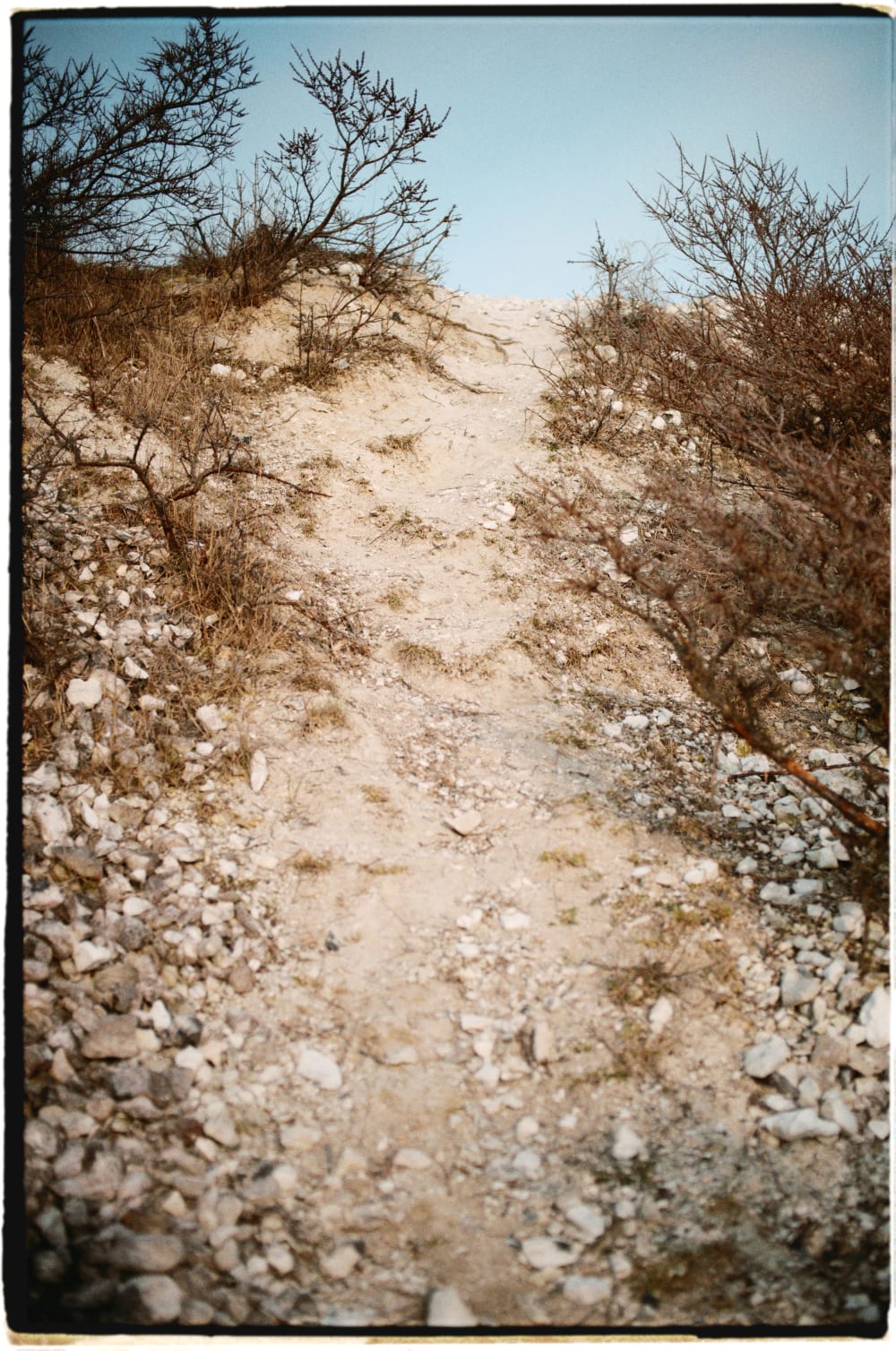 Joakim Hertze &mdash; Poserframes recreates the look of film scanned with borders &mdash; Documentation, image 11