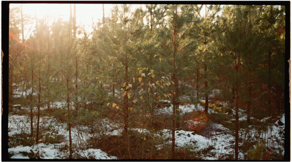 Joakim Hertze &mdash; Poserframes recreates the look of film scanned with borders &mdash; Documentation, image 16