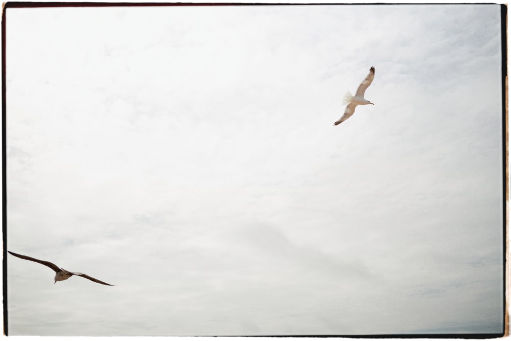 Joakim Hertze &mdash; Poserframes recreates the look of film scanned with borders &mdash; Documentation, image 50