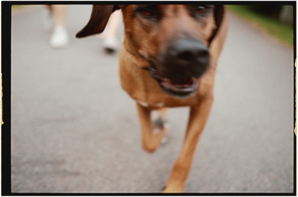 Joakim Hertze &mdash; Poserframes recreates the look of film scanned with borders &mdash; Documentation, image 53