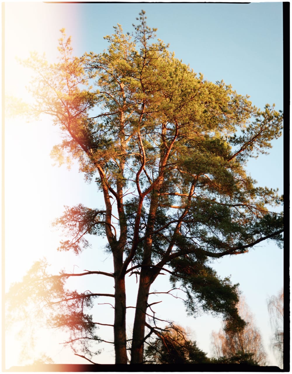 Joakim Hertze &mdash; Poserframes recreates the look of film scanned with borders &mdash; Documentation, image 67