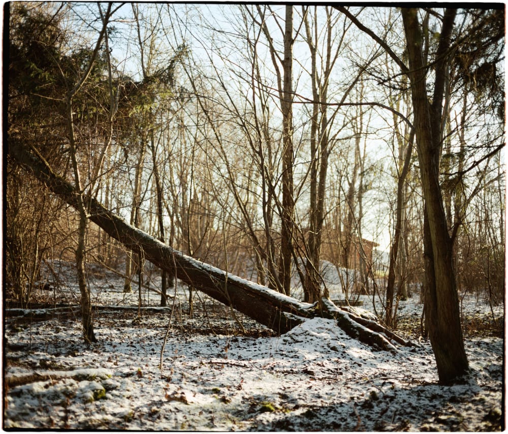 Joakim Hertze &mdash; Poserframes recreates the look of film scanned with borders &mdash; Documentation, image 78