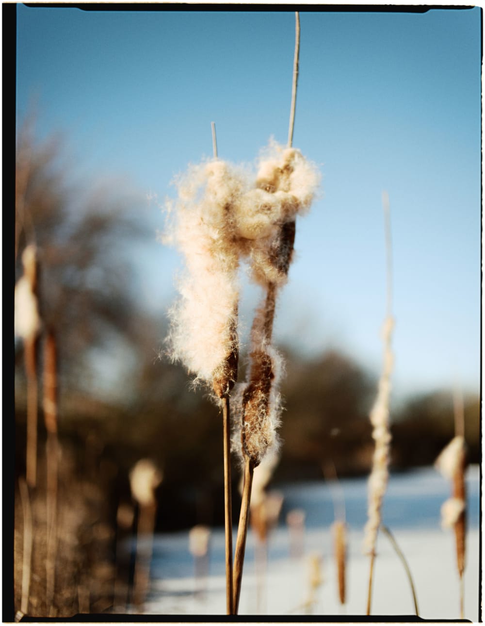 Joakim Hertze &mdash; Poserframes recreates the look of film scanned with borders &mdash; Documentation, image 79