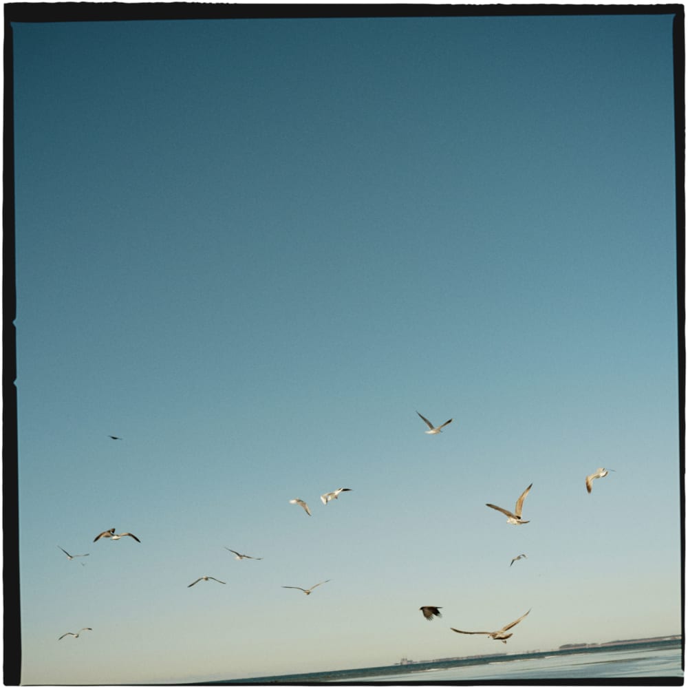 Joakim Hertze &mdash; Poserframes recreates the look of film scanned with borders &mdash; Documentation, image 81