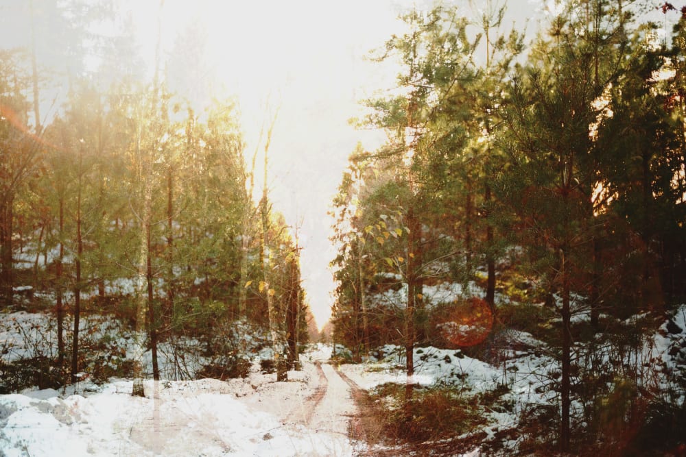 Joakim Hertze &mdash; Poserframes recreates the look of film scanned with borders &mdash; Get Silhouettes, image 3