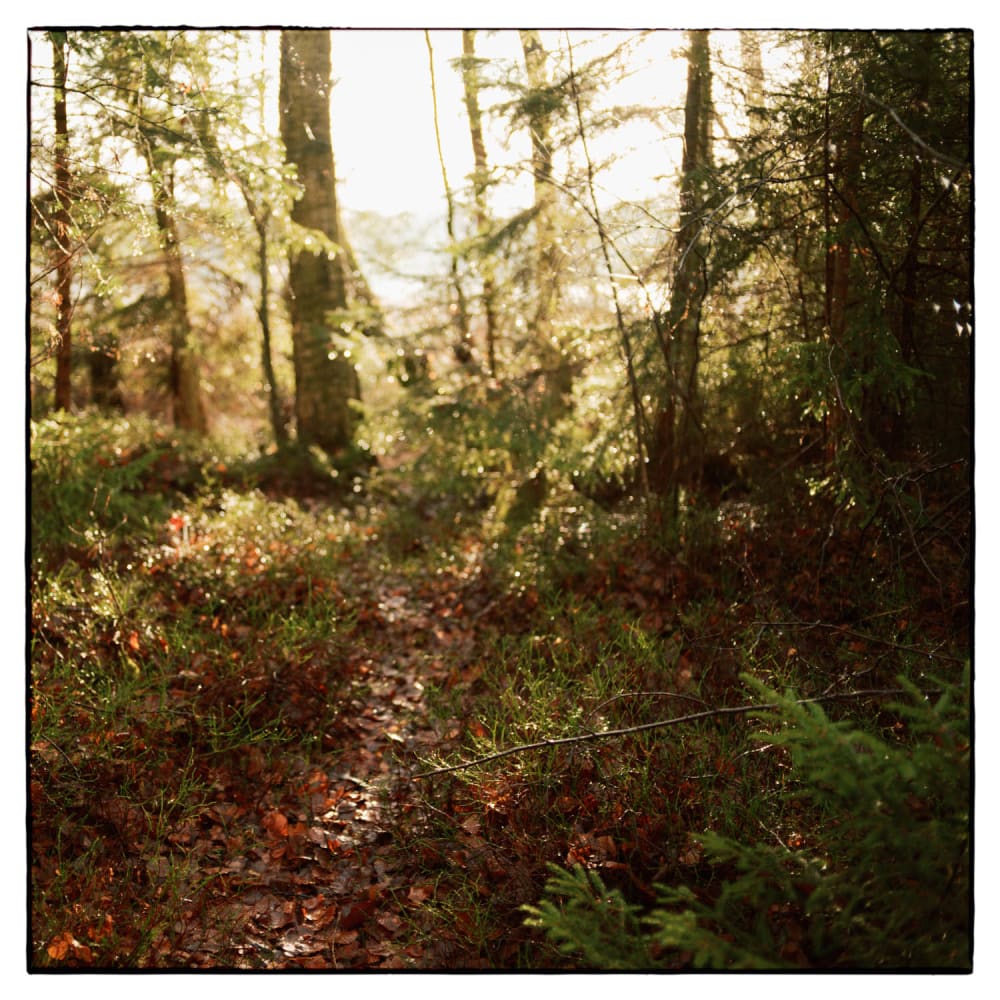 Joakim Hertze — Poserframes recreates the look of film scanned with borders — Start, image 96