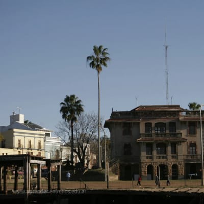Colón
