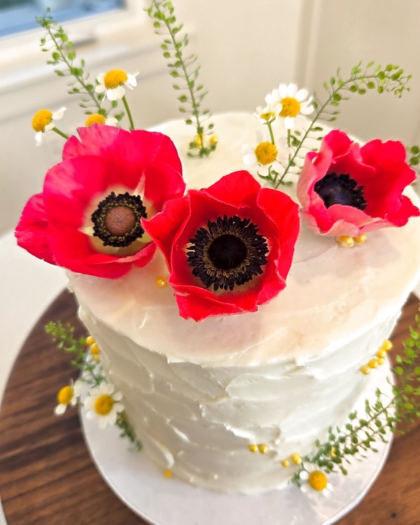 Wedding cake by Sweet E's Bakery in Spanish Fork, single-tier white textured cake with red anemones, daisies, and green foliage