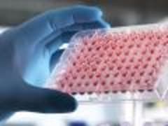 Более 60 тысяч лабораторных испытаний проведено диагностами Белгородской испытательной лаборатории ФГБУ «ВНИИЗЖ» в феврале