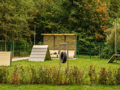 На Белгородчине создадут площадки для выгула собак