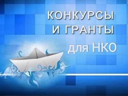 Итоги регионального конкурса субсидий для НКО