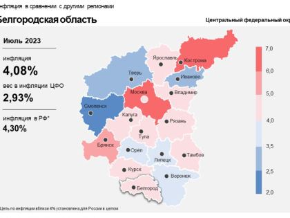 В июле в Белгородской области подорожали капуста, яйца и бензин