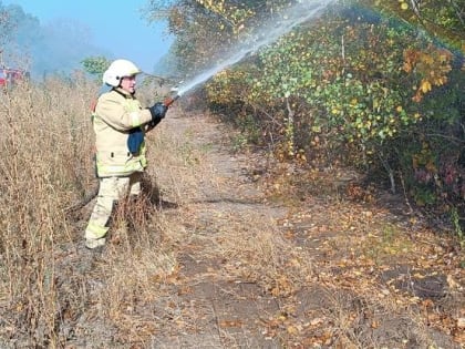 Тренировка спасателей в Сочи