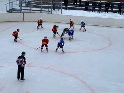 У белгородцев остались последние для оплаты имущественных налогов