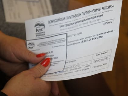 Новооскольские единороссы обсудили итоги выборной кампании на очередной партийной конференции
