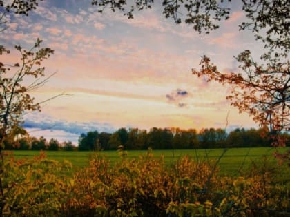 Белгородские синоптики прогнозируют облачную с прояснениями погоду 26 августа