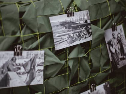 Белгородцы смогут разместить портреты своих воевавших родственников в экспозиции «Стена Памяти»