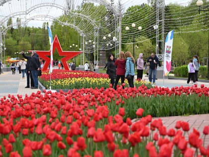 Совсем скоро в белгородском парке Победы зазвучит музыка