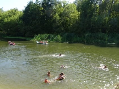 Новооскольцы и гости округа побывали на фестивале народной медицины «Николаевская живица»