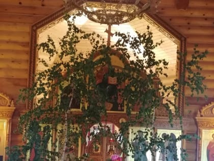 Представители казачества помолились за Божественной Литургией в храме Рождества Христова села Рождествено