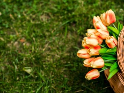 Температура воздуха повысится до 23 градусов тепла на территории Белгородской области 4 мая