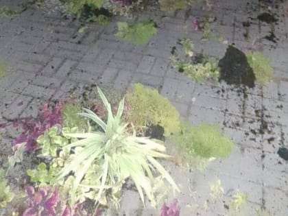 В Белгороде прошел масштабный культурный фестиваль