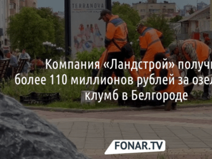 Мэрия Белгорода закупит розы семи видов за 12,8 миллиона рублей