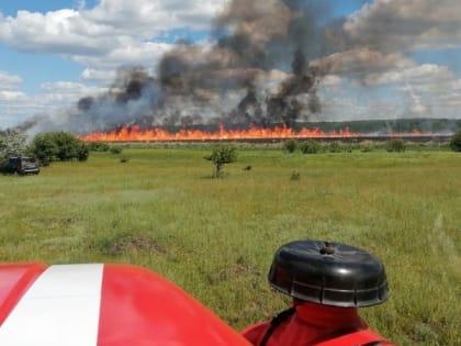 Пожарные подразделения Белгородской области ликвидировали 31 возгорание