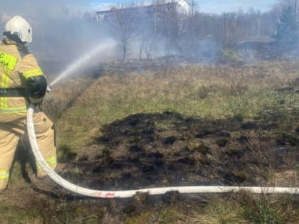 Начальник новооскольского пожарно-спасательного гарнизона поздравил коллег